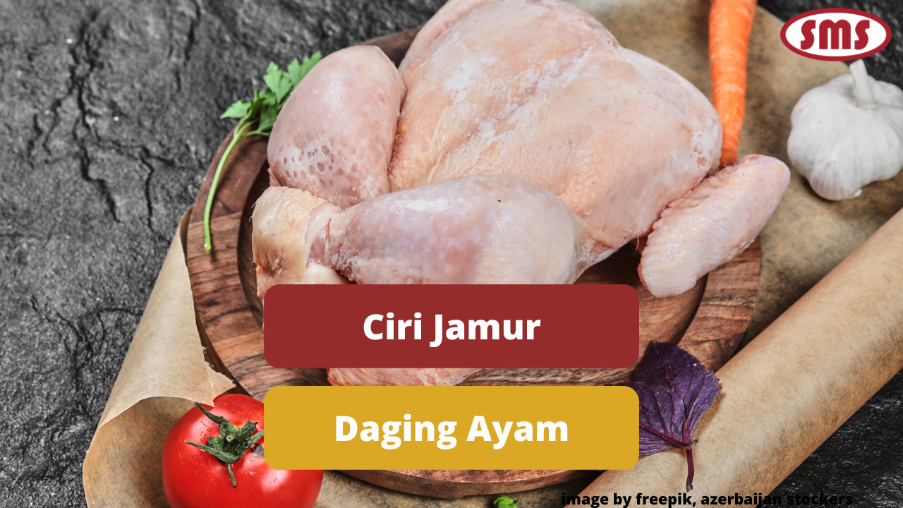 Waspadai Ciri Jamur Yang Timbul Pada Permukaan Daging Ayam